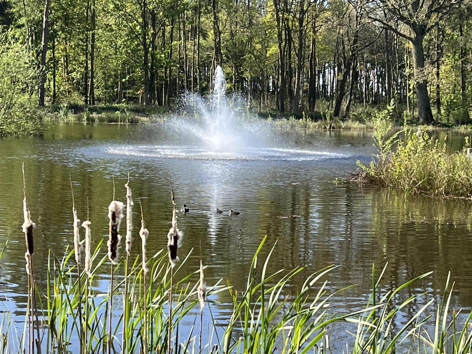 Pine Boutique With Hot Tub For Couples & Dog York
