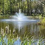 Pine Boutique Lodge With Hot Tub For Couples & Dog