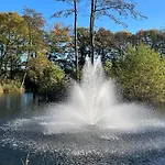 Pine Boutique Lodge With Hot Tub For Couples & Dog