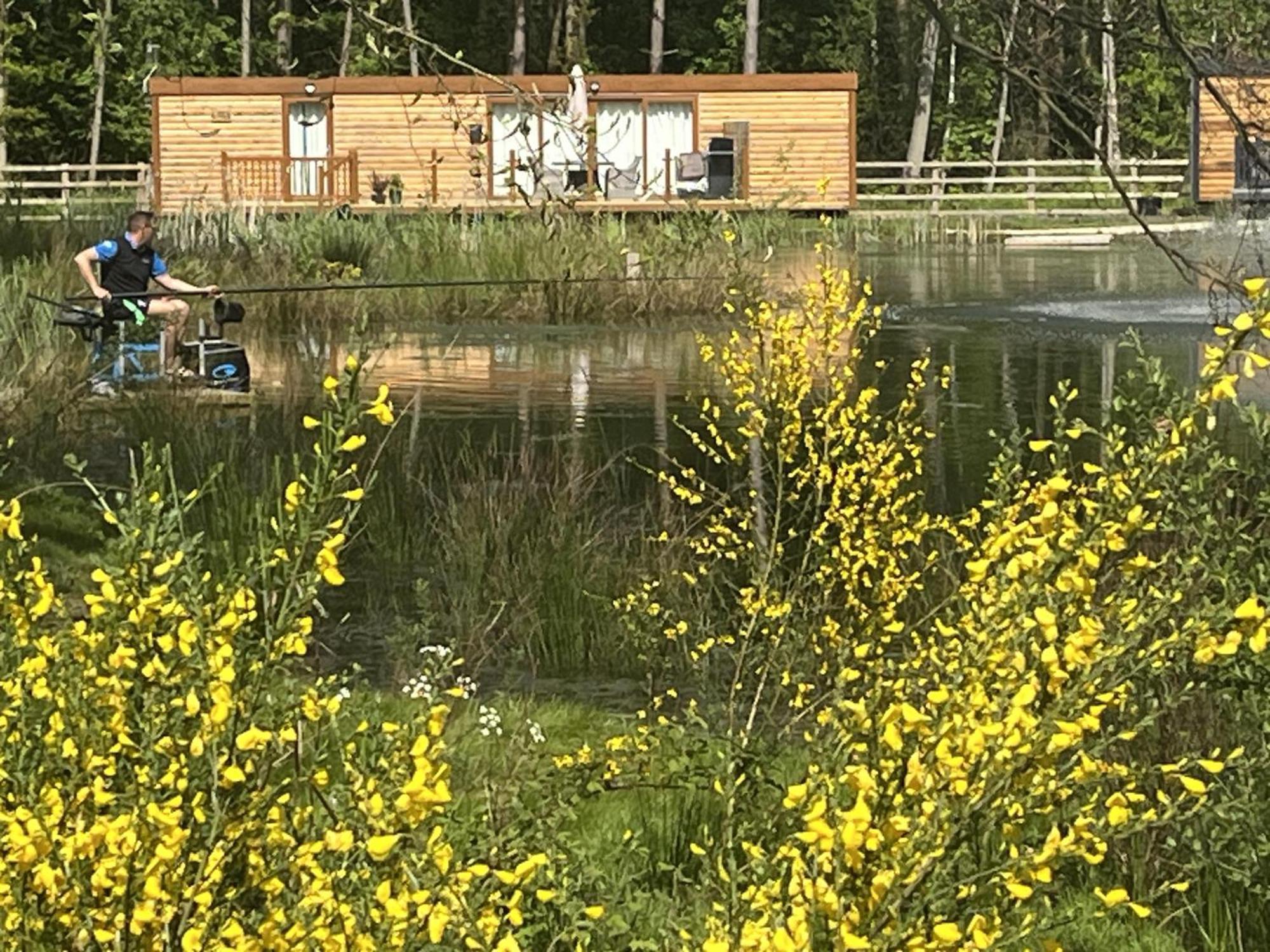 Pine Boutique With Hot Tub For Couples & Dog Holiday home York