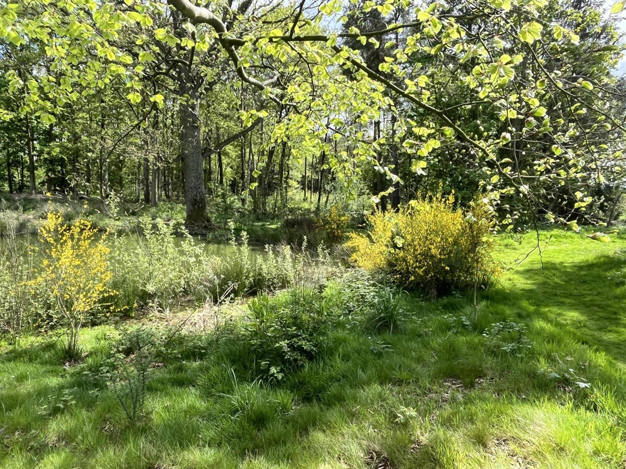 Pine Boutique With Hot Tub For Couples & Dog York