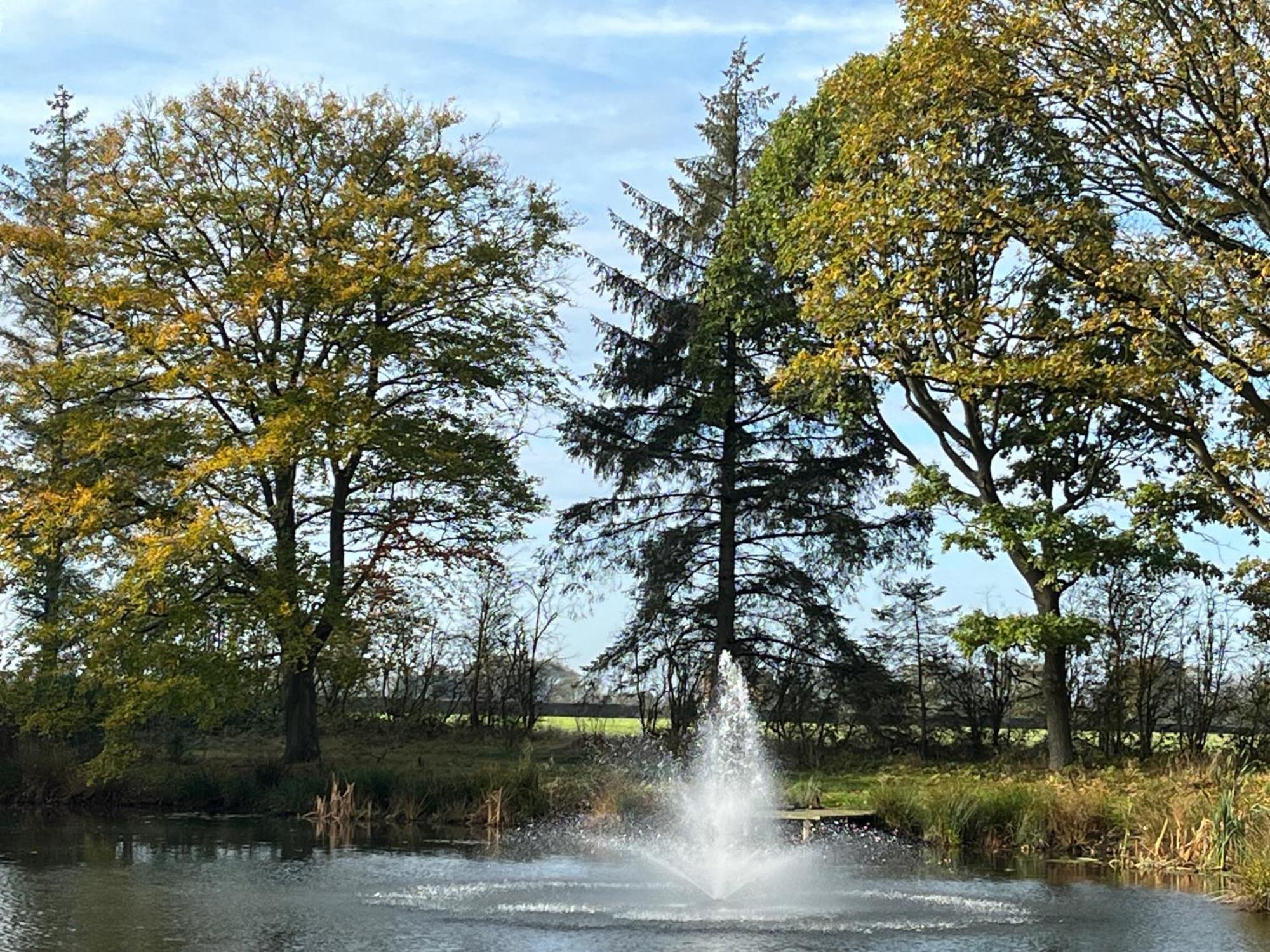 Pine Boutique With Hot Tub For Couples & Dog Holiday home York